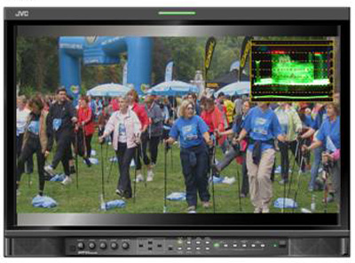 Видеомонитор JVC DT-V24G1 DT-V24G1 #3