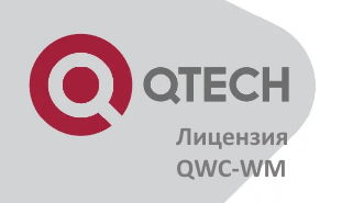 Лицензия Qtech  на использование ПО Виртуальный на 1 точку доступа QTECH + 1 год технической поддержки QWC-WM QWC-WM