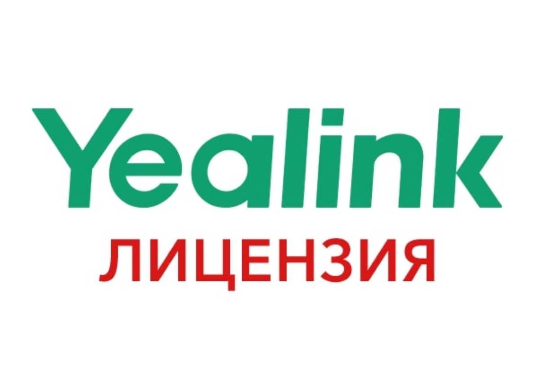 Лицензии ВКС Yealink облачного сервиса, 1 хост, 100 портов, 1 ГБ, срок 1 год User-Standard-year User-Standard-year