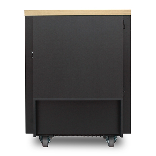 Шкаф APC защищенный звукоизолированный NetShelter CX 18U («компактный серверный зал»), международная версия AR4018IA AR4018IA #1