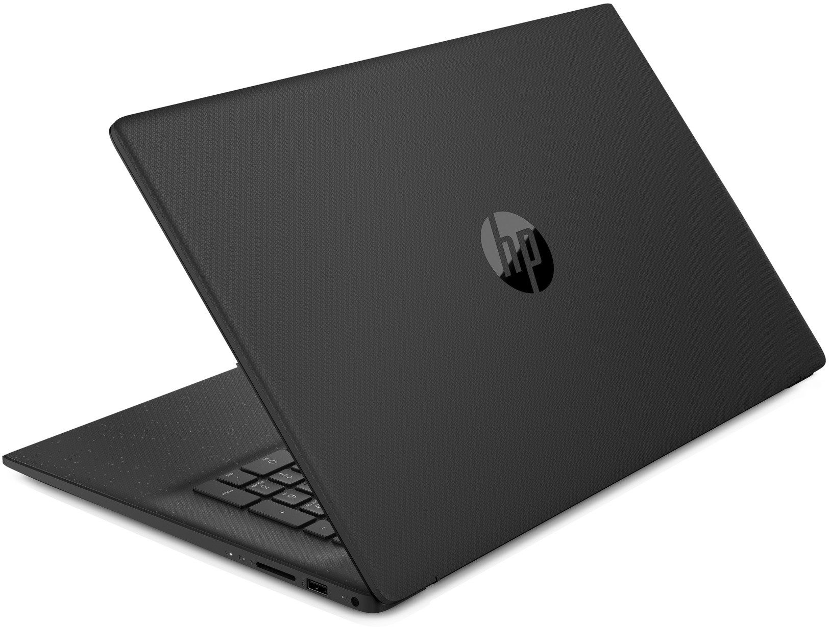 Ноутбук HP 17-cp0049ur Black 17.3" {(1600x900) Athlon 3050U/8Gb/256Gb SSD/W10} 491N2EA 491N2EA