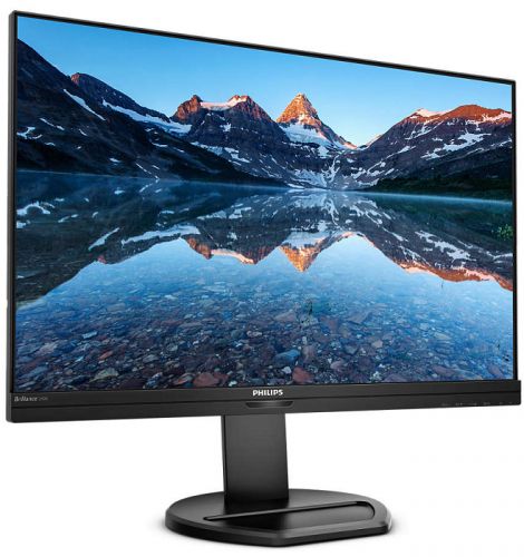 Монитор Philips 24,1" 240B9 1920x1200 75Гц IPS W-LED 16:10 4ms(GtG) VGA DVI HDMI DP HDCP 1.4 (HDMI/DP) 4*USB 3.2 50M:1 1000:1 178/178 300cd Tilt HAS Pivot Swivel Speakers Black 240B9/00 240B9/00