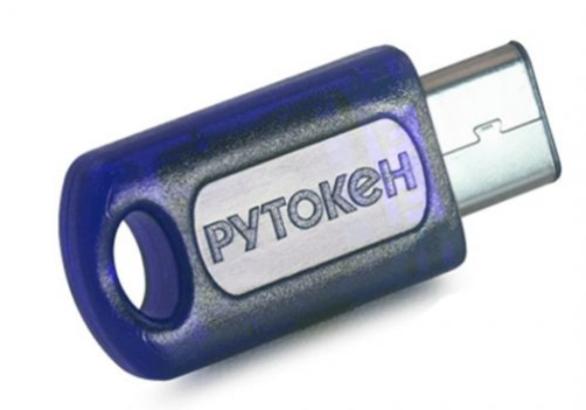 Электронный идентификатор Рутокен ЭЦП PKI Type-C 1800-PKI-TypeC-64K 1800-PKI-TypeC-64K