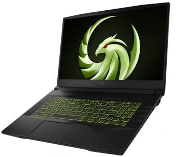 Ноутбук MSI B5EEK-023X 5800H 3200 МГц 17.3" Cенсорный экран нет 1920x1080 16Гб DDR4 3200 МГц SSD 512Гб нет DVD AMD Radeon RX 6600M 8Гб/да DOS черный 2.55 кг 9S7-17LL12-023 9S7-17LL12-023
