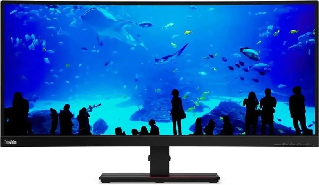 Монитор Lenovo ThinkVision P34w-20 34" черный IPS LED 4ms 21:9 HDMI M/M матовая HAS Piv 1000:1 300cd 178гр/178гр 3440x1440 60Hz DP Ultra WQHD USB 63F2RAT3UK 63F2RAT3UK