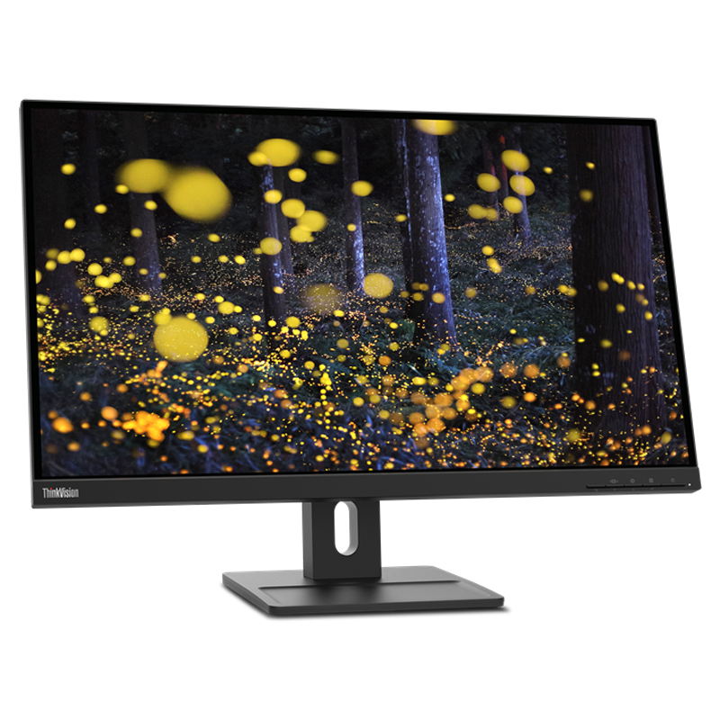 Монитор Lenovo 27" ThinkVision E27q-20 черный IPS 4ms 16:9 HDMI M/M матовая HAS Piv 350cd 178гр/178гр 2560x1440 DP 2K 6.6кг 62D0GAT1IS 62D0GAT1IS