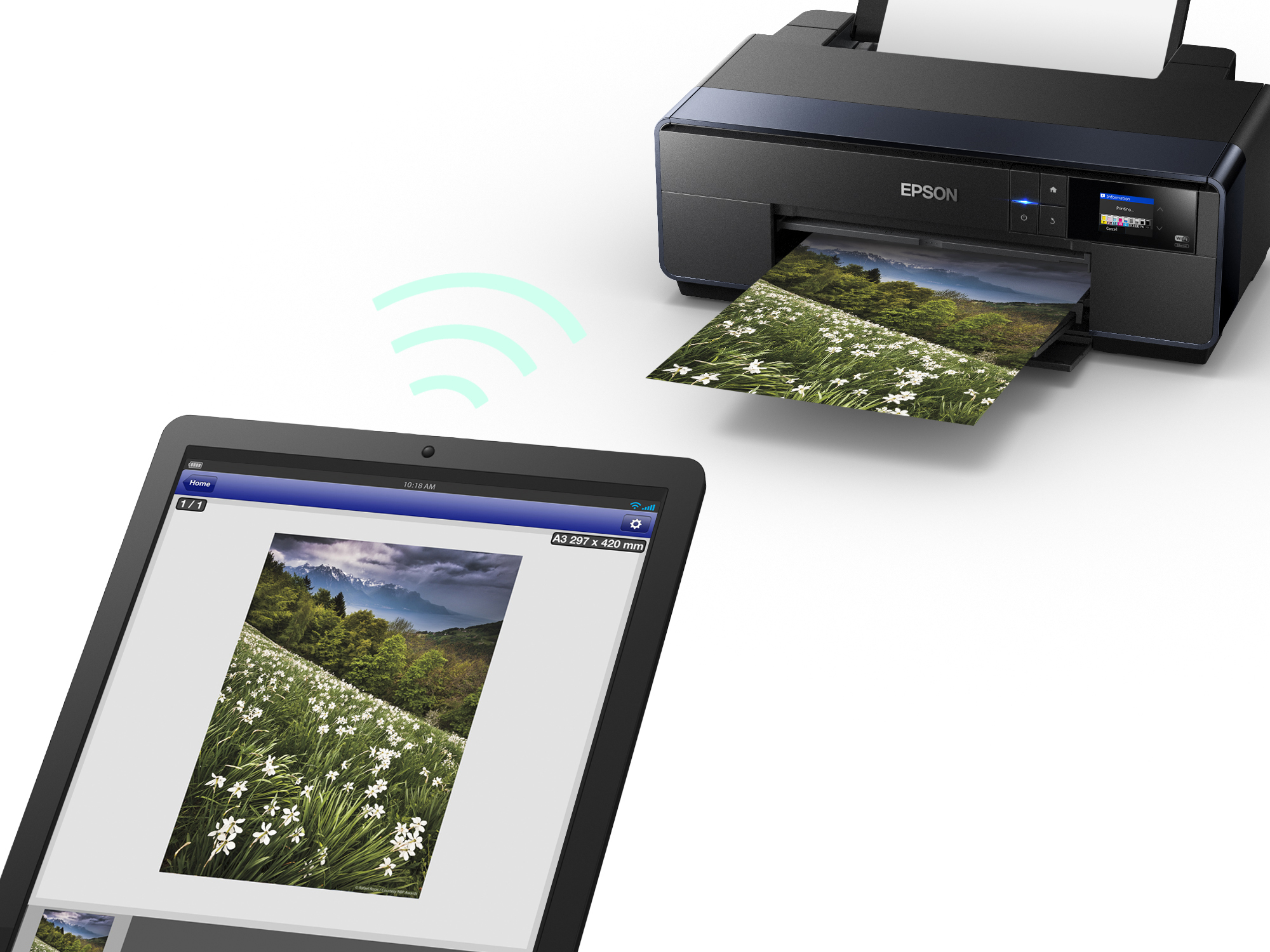 Принтер Epson SC-P600 A3+; 9-цветная система печати; 5760x1440 dpi; USB 2.0, Ethernet, Wi-Fi C11CE21301 C11CE21301 #2
