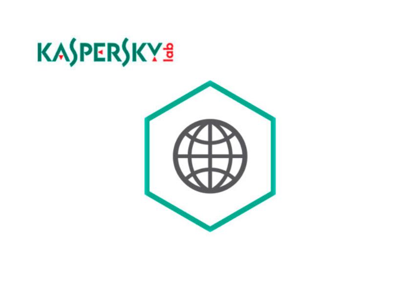 Право на использование Kaspersky Security для интернет-шлюзов. 250-499 Node 1 year Renewal KL4413RATFR KL4413RATFR