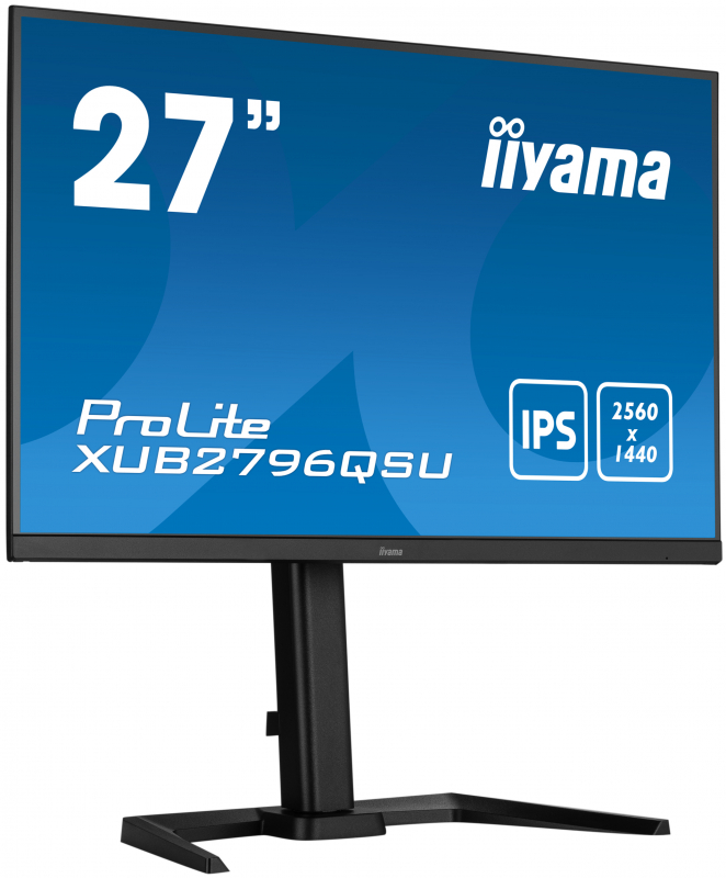 Монитор iiYama 27" ProLite черный IPS LED 1ms 16:9 HDMI M/M матовая HAS Piv 1000:1 250cd 178гр/178гр 2560x1440 75Hz DP 2K USB XUB2796QSU-B5 XUB2796QSU-B5