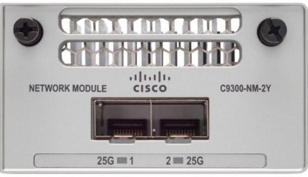 Модуль Cisco Catalyst 9300 2 x 25GE Network Module, spare C9300-NM-2Y= C9300-NM-2Y=