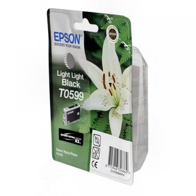 Картридж EPSON STYLUS PHOTO R2400 light grey C13T05994010 #1