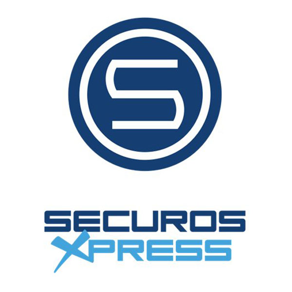 Лицензия ядра видеосервера версия ISS01SYS-PROF 9.x SecurOS Professional  ISS01SYS-PROF 9.x