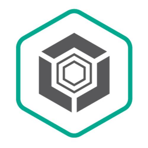 Право на использование Kaspersky Endpoint Security для бизнеса – Универсальный. 10-14 Node 1 year Base KL4860RAKFS KL4860RAKFS