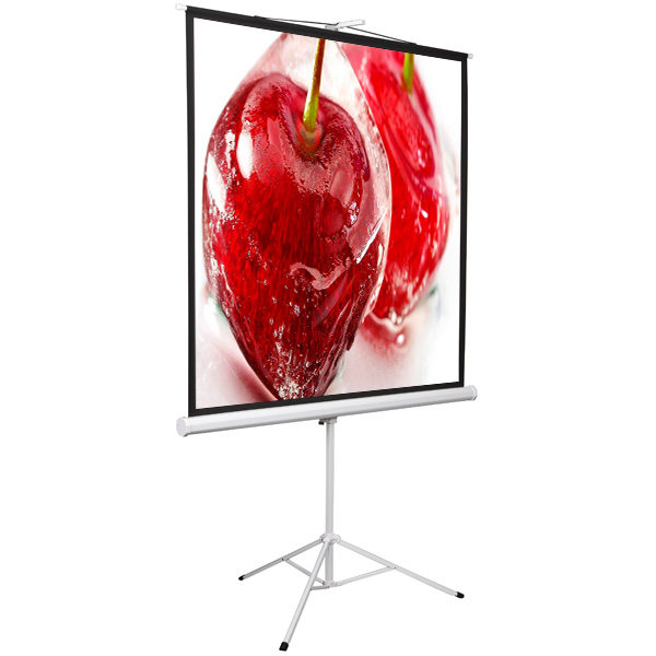 Экран для проектора Digis DSKD-1108 Kontur-D формат 1:1, 135" (248x250), MW, DSKD-1108 DSKD-1108
