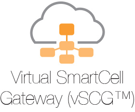 ПО Ruckus SmartCell vSCG 3.0 or newer virtual appliance L09-VSCG-WW00 L09-VSCG-WW00