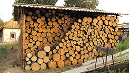 Заготовка дров на зиму