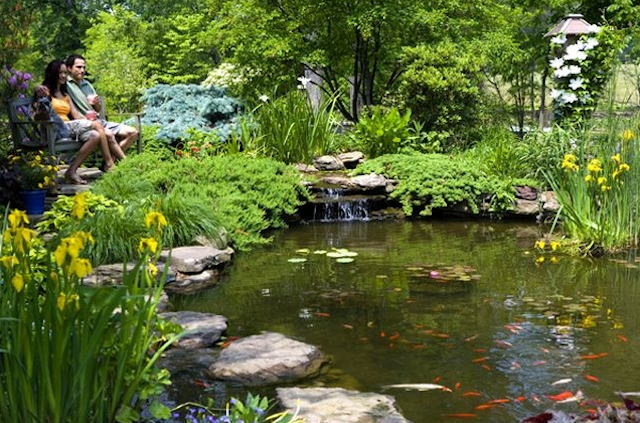 Ландшафтный дизайн пруд в саду