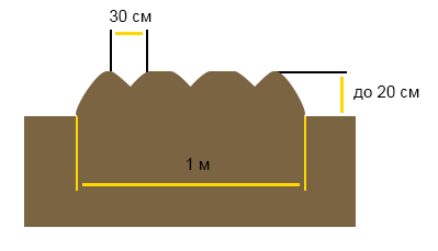 Разная высота грядок в зависимости от типа почвы. Фото