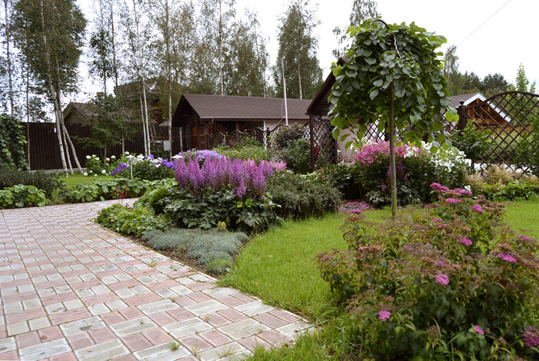 Дизайн огорода: 50 красивых фото, советы по обустройству | hb-crm.ru