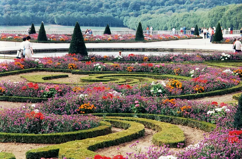 французский сад Gardens of Versailles.jpg