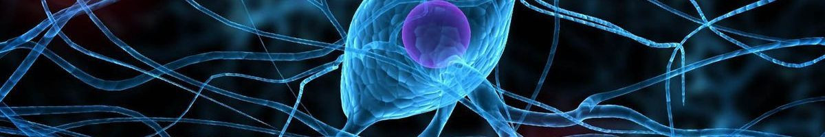 ИнфоВИЧ☑️ 