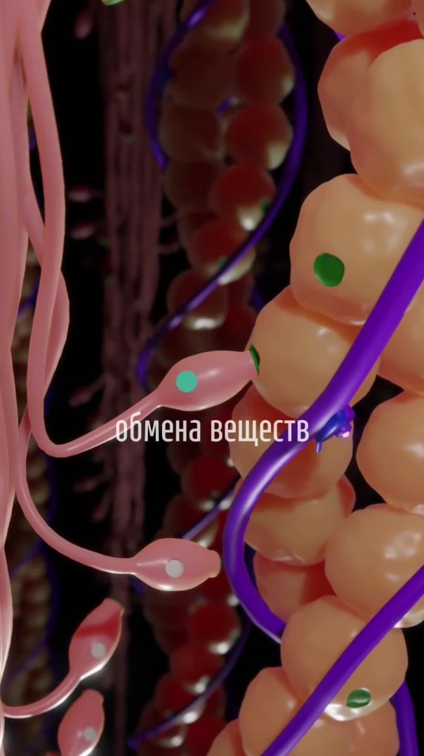 Как нужно поднимать ребенка
