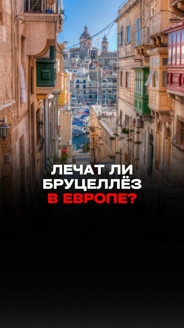ЛЕЧАТ ЛИ БРУЦЕЛЛЕЗ В ЕВРОПЕ?