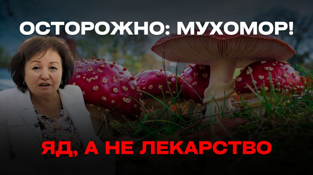 ОСТОРОЖНО: МУХОМОР! ЯД, А НЕ ЛЕКАРСТВО