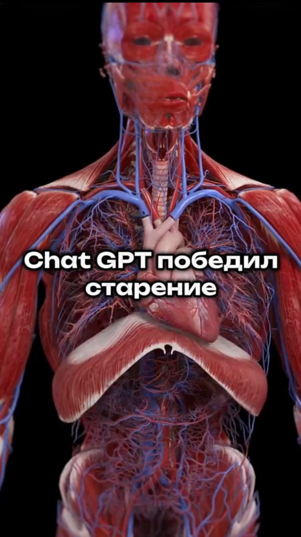 GPT победил старение