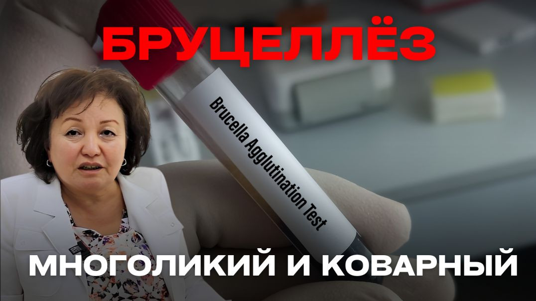 МНОГОЛИКИЙ И КОВАРНЫЙ БРУЦЕЛЛЁЗ