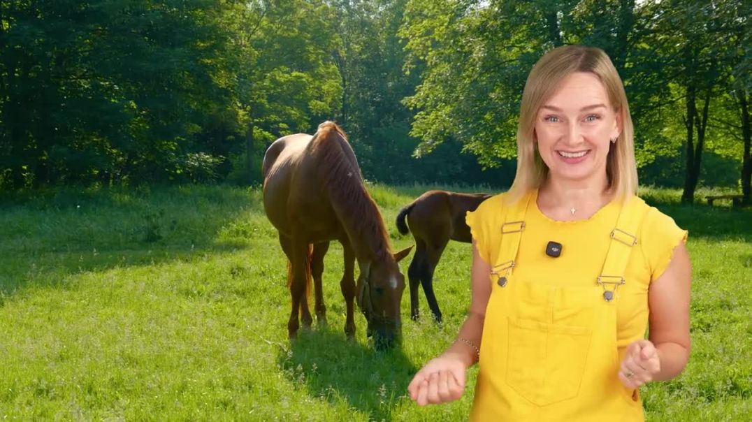 ПЕРВЫЕ ЗВУКИ. КАК ГОВОРЯТ ЖИВОТНЫЕ?