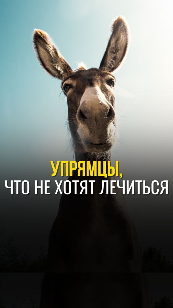 УПРЯМЦЫ, ЧТО НЕ ХОТЯТ ЛЕЧИТЬСЯ