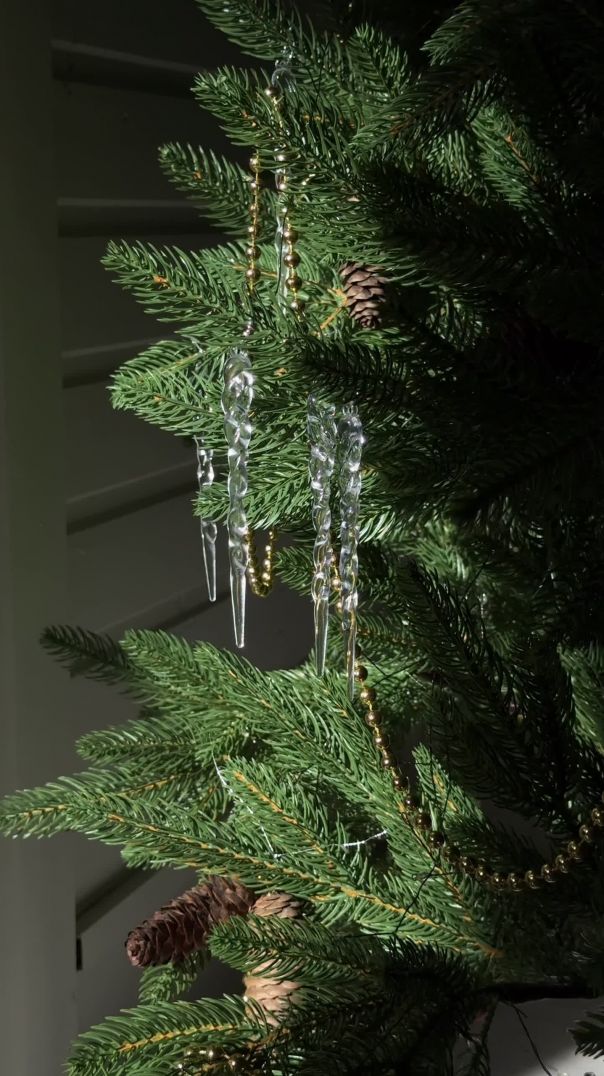 705042E9-A911-4808-9403-98E97E08C754