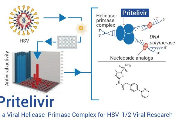 Прителивир (Pritelivir): Прорыв в лечении резистентного герпеса