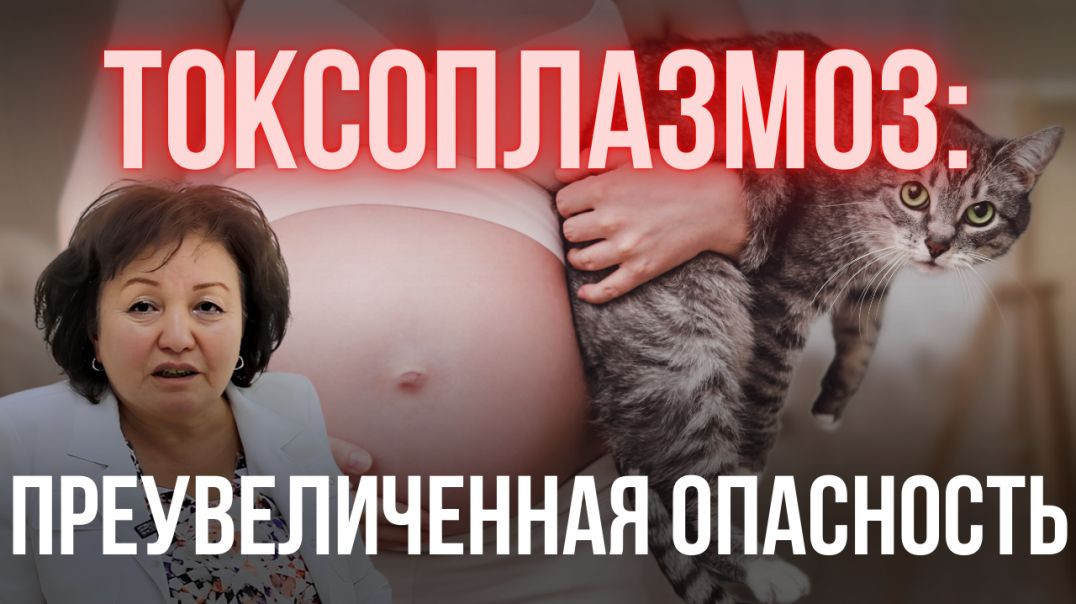 ТОКСОПЛАЗМОЗ: ПРЕУВЕЛИЧЕННАЯ ОПАСНОСТЬ