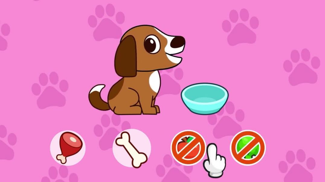 Что едят животные