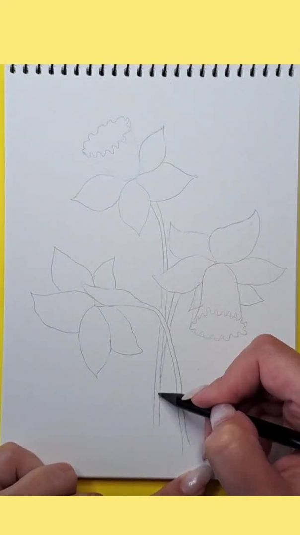 Нарциссы акварелью