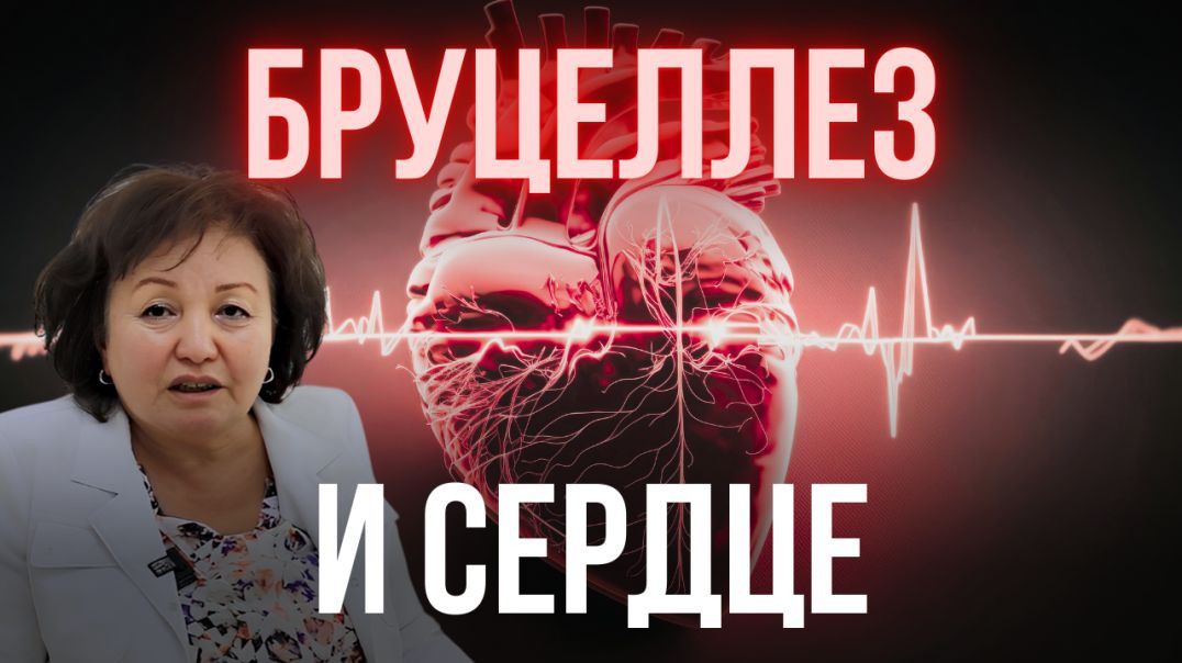 БРУЦЕЛЛЕЗ И СЕРДЦЕ