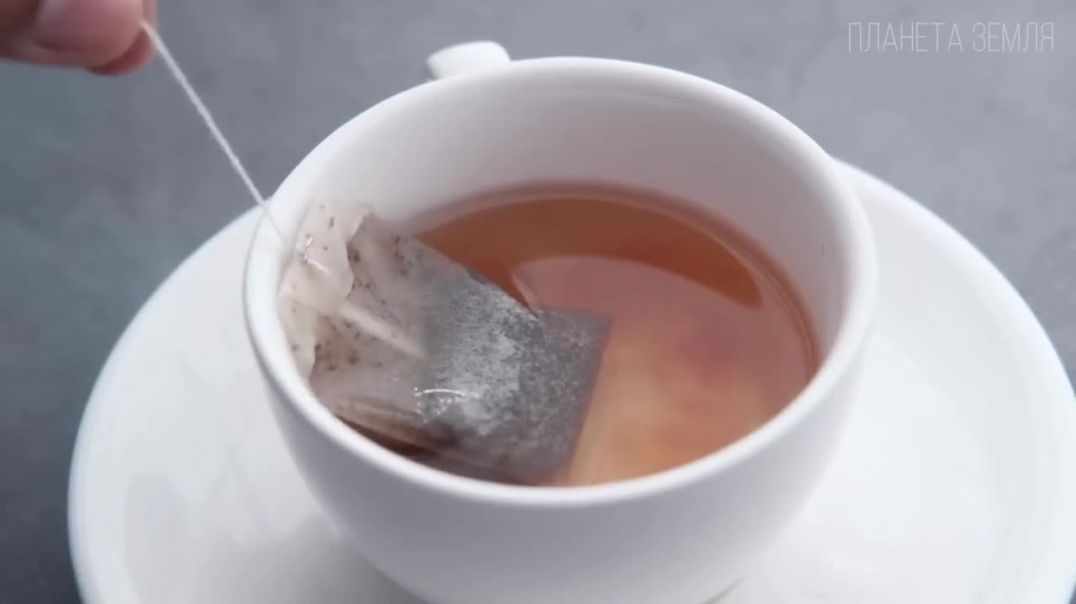 ⁣Чай: Самый Популярный Напиток | Интересные факты про чай