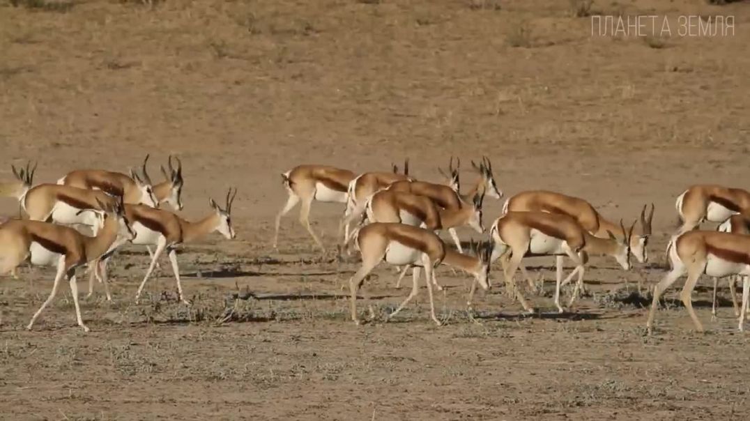 VID_20260423_111243_363