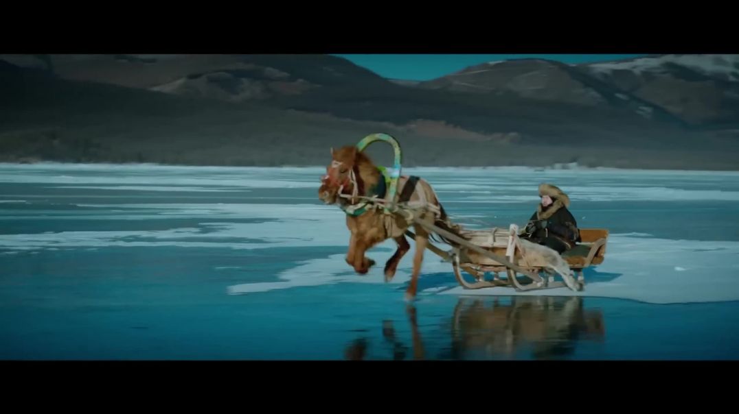 AY YOLA - HOMAY (Official Music Video)