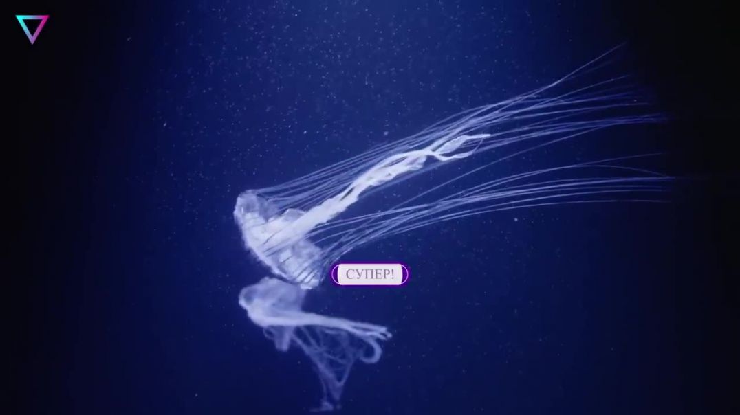 Биологические зомби: Существа, которые живут без мозга