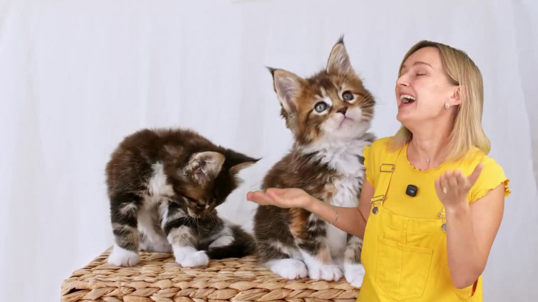 ⁣Учим первые слова  с детьми