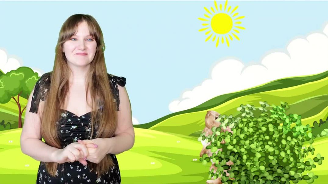 Учим первые слова.