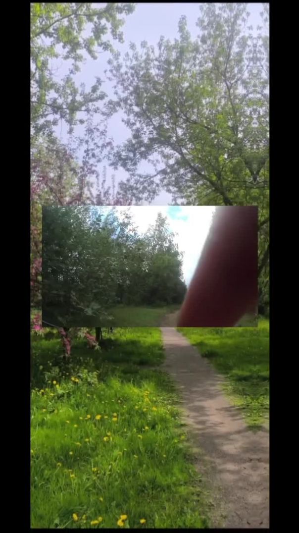 Тренировка / путешествие на велосипеде и моя песня