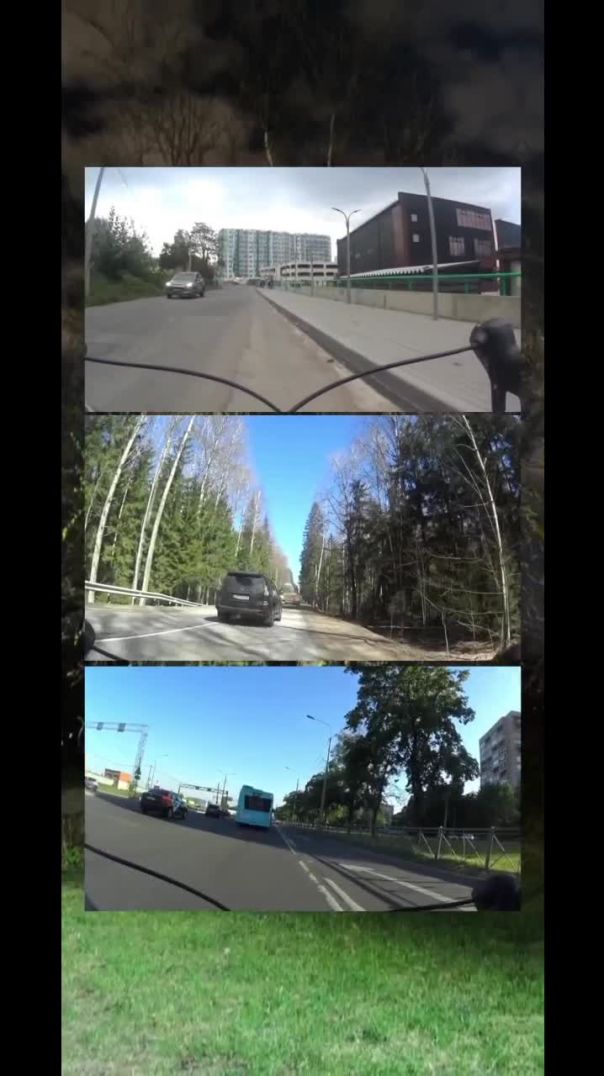 Тренировка / путешествие на велосипеде и песня на стихотворение Артёма Низовского "Белые берёзк