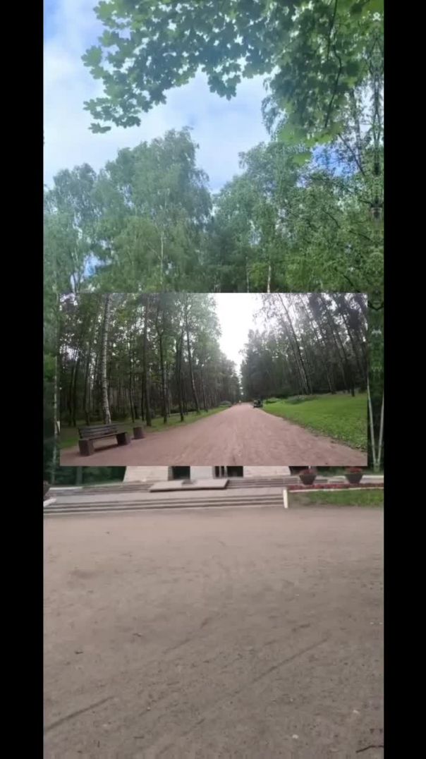 Тренировка / путешествие на велосипеде и моя песня