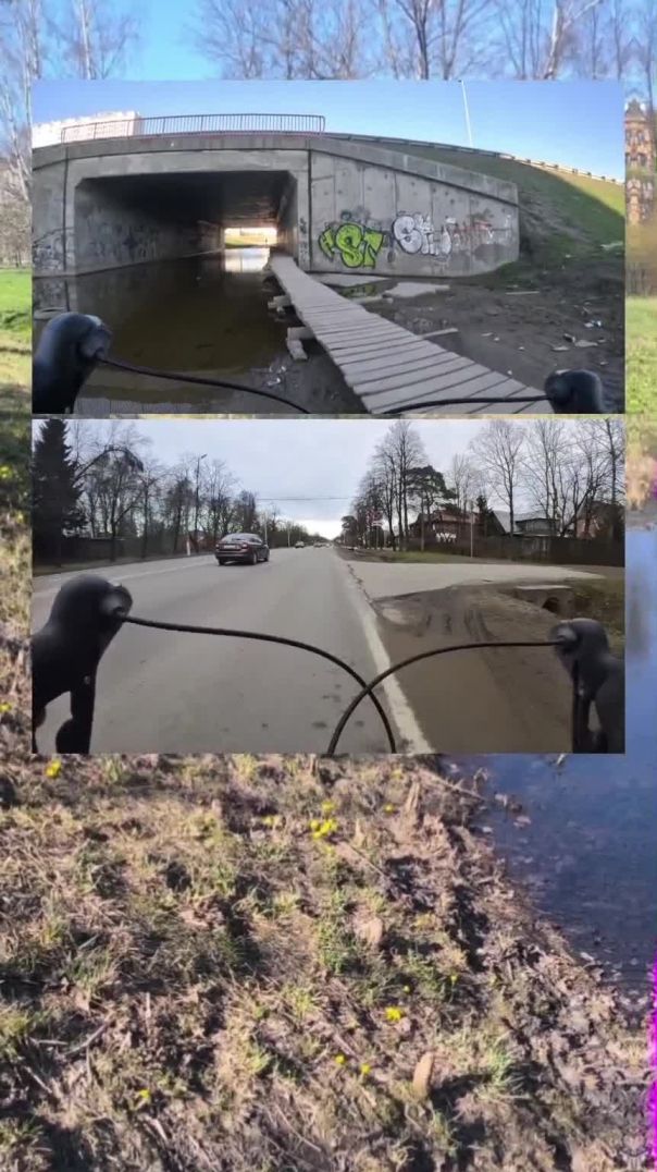 Тренировка / путешествие на велосипеде и мои песня, музыка, стихи
