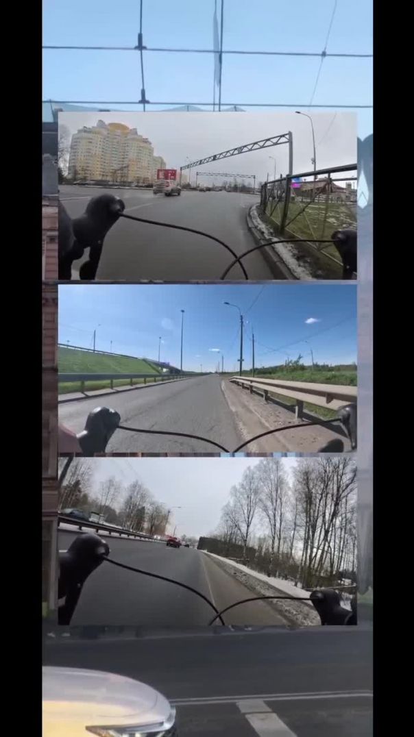 Тренировка / путешествие на велосипеде и моя песня