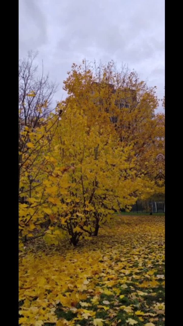 Тренировка / путешествие на велосипеде и мои песня, музыка, стихи